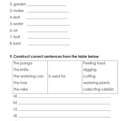 PRIMARY THREE REVISION